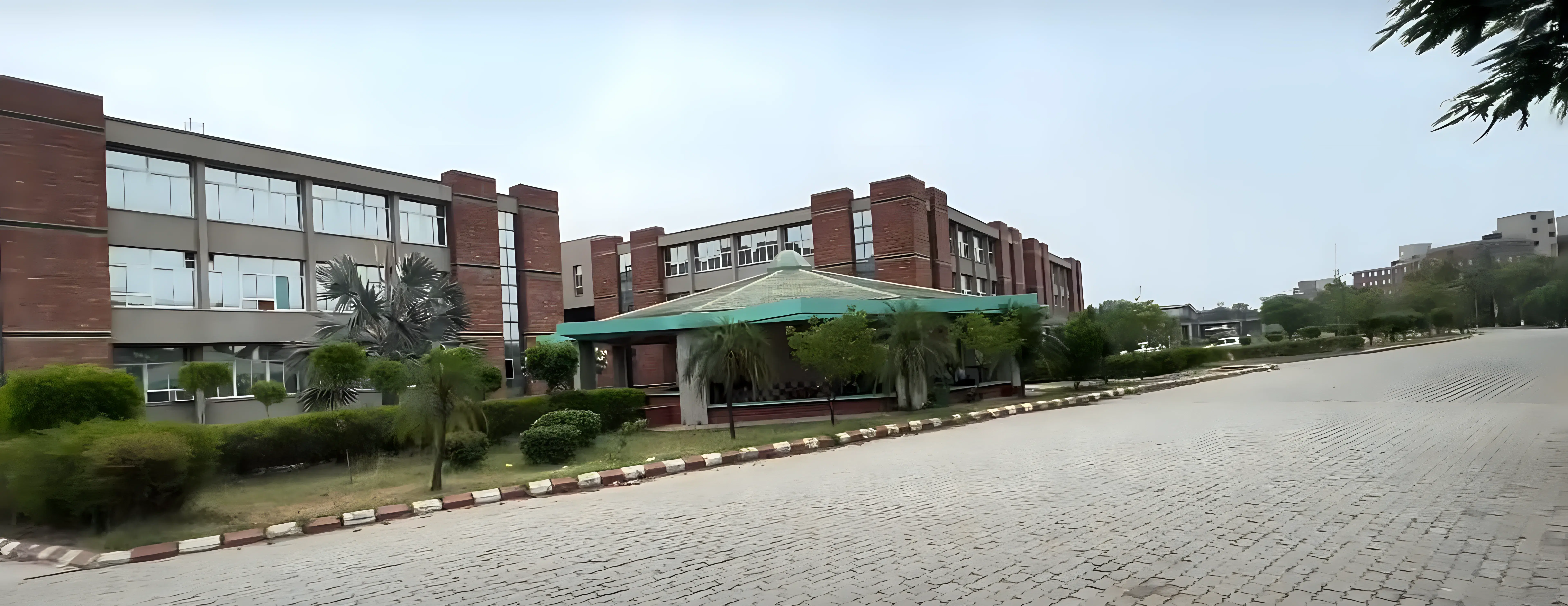 Vidya University Campus photo 6